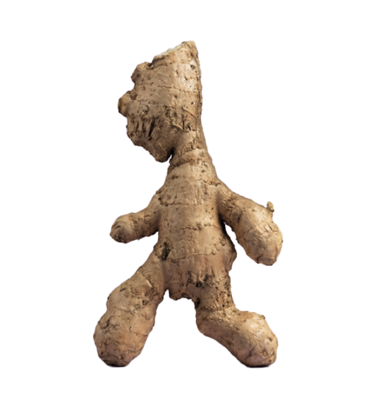 Ingwer in Form einer gehenden Figur