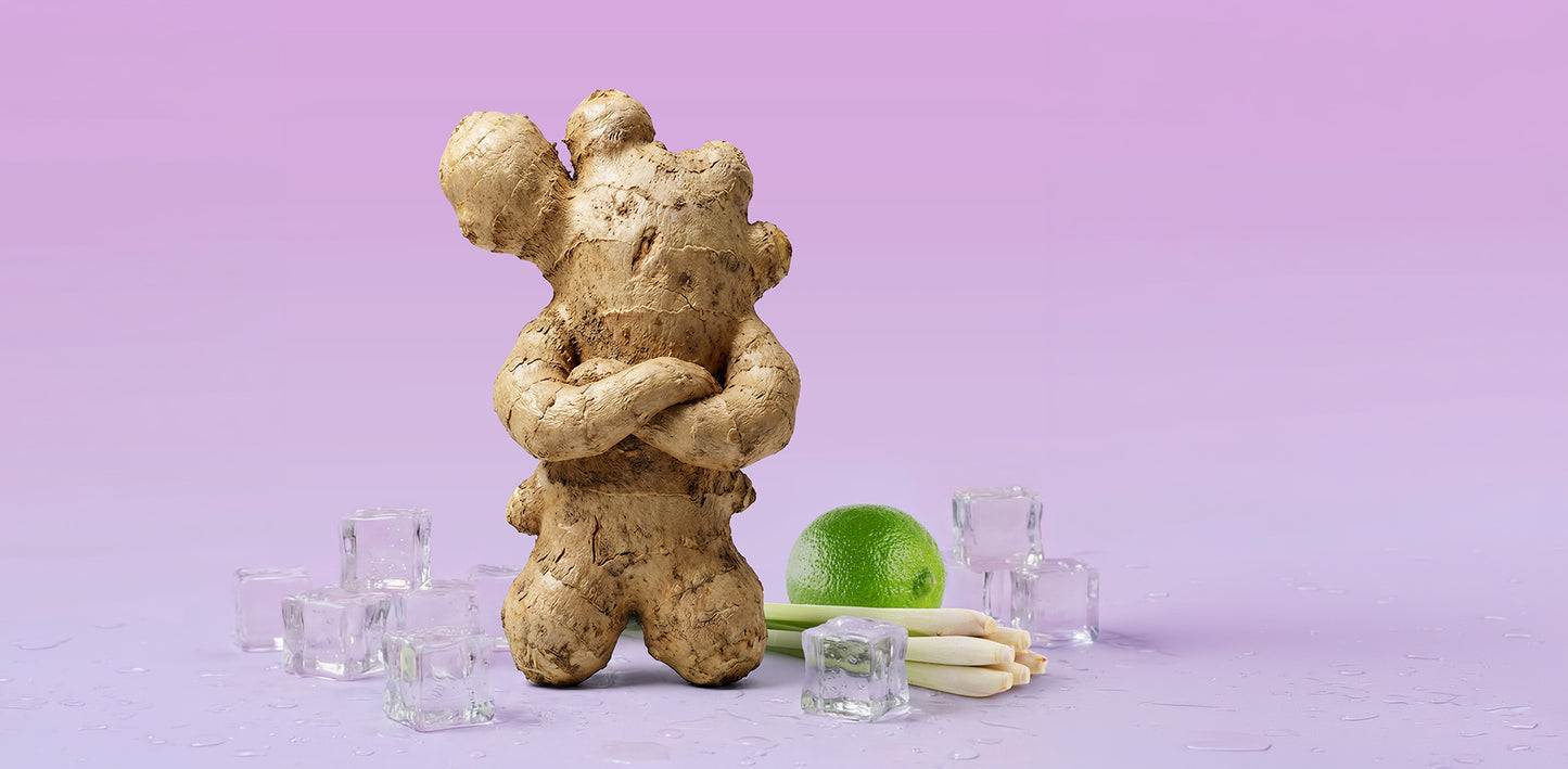 Ingwerknolle als Figur mit verschränkten Armen mit Zitronengras, Limette und Eiswürfeln