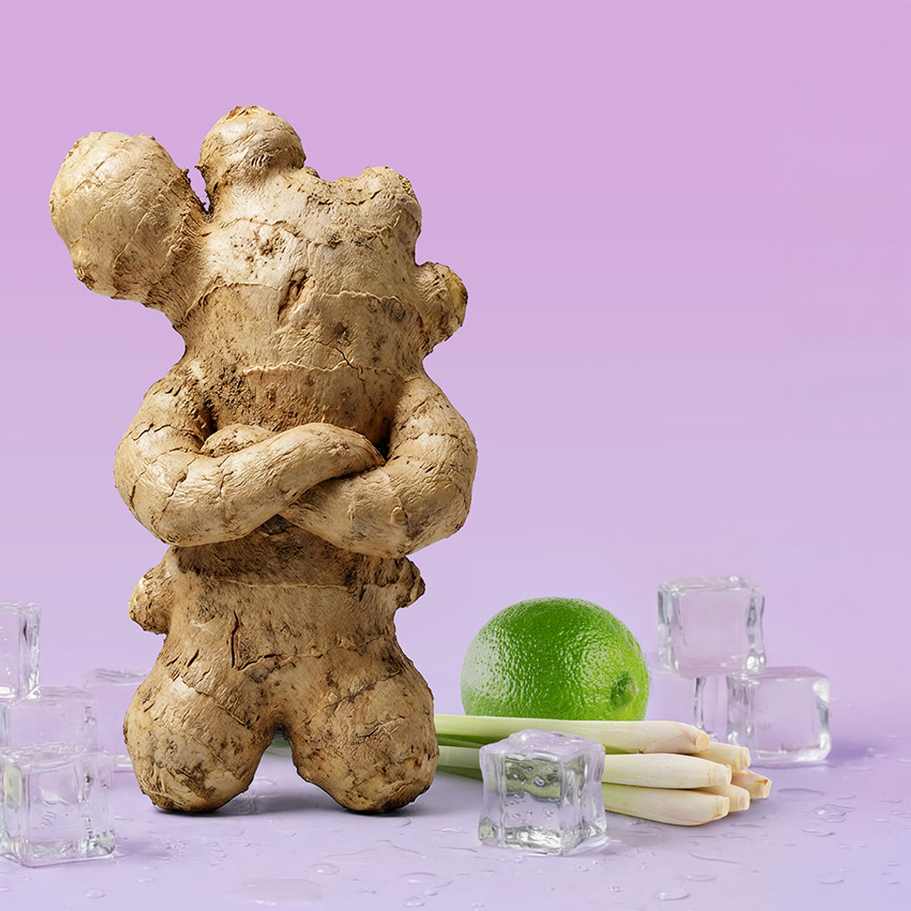 Ingwerknolle als Figur mit verschränkten Armen mit Zitronengras, Limette und Eiswürfeln